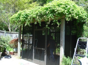 Screened Trellis - Spartan Screen