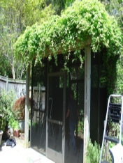 Screened Trellis - Spartan Screen